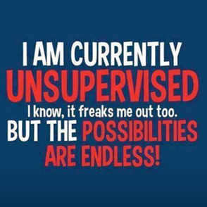 TotallyUnsupervised